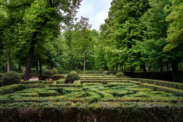 Jardín Público Con Setos Haciendo Laberinto Arbustos Recortados — Foto de Stock