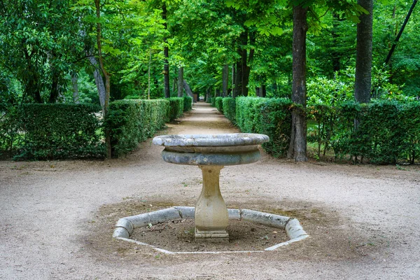 Public Park Corner Small Stone Fountain Green Vegetation Aranjuez — Stock Photo, Image