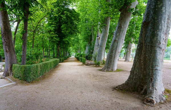 Openbaar Park Met Grote Bomen Onverharde Wegen Wandelen Aranjuez — Stockfoto