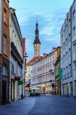 Tallinn şehrinin ana caddesi belediye binasına doğru. Estonya.