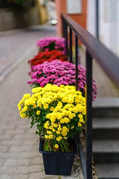 Töpfe Mit Bunten Blumen Auf Dem Bürgersteig Der Kleinen Gasse — Stockfoto