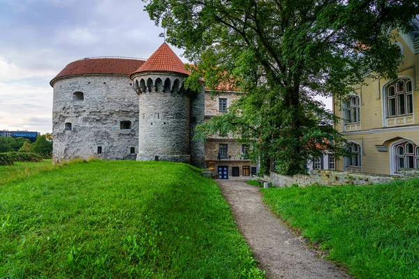 Porta Ingresso Dal Muro Medievale Tallinn Estonia — Foto Stock