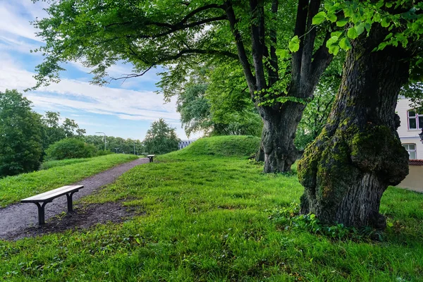 Parque Público Com Grandes Árvores Bancos Para Sentar Descansar — Fotografia de Stock