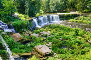 Yeşil ormandaki şelale, yemyeşil bitki örtüsü ve güneşli bir gün..