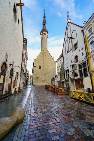 Municipio Medievale Con Sua Alta Torre Che Domina Città Tallinn — Foto Stock