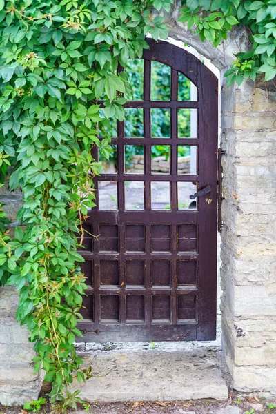Stare Metalowe Drzwi Wejściowe Domu Bluszczem Wiszącym Fasadzie — Zdjęcie stockowe