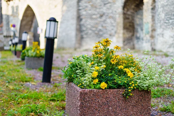 Blumentopf Mit Blumen Neben Der Burgmauer Und Kleinen Laternenpfählen Auf — Stockfoto