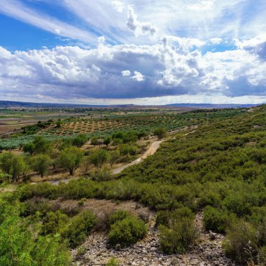 Yol ve fırtına bulutları ile zeytin koruluğunun panoramik görüntüsü.