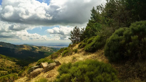 Paisagem Montanha Verde Floresta Mediterrânea Com Vista Para Vale — Fotografia de Stock