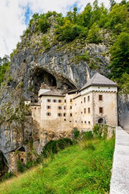 Predjama Şatosu, Slovenya, ilkbaharda ünlü Postojna Mağara sisteminin yakınındaki sarı çiçeklerle çerçevelenmiş, dramatik bir uçurum kenarına inşa edilmiş..
