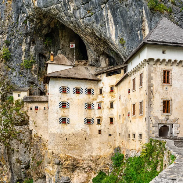 Predjama Şatosu, Slovenya, ilkbaharda ünlü Postojna Mağara sisteminin yakınındaki sarı çiçeklerle çerçevelenmiş, dramatik bir uçurum kenarına inşa edilmiş.