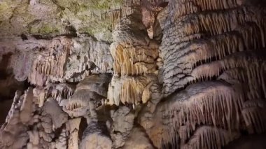 Avrupa 'nın en büyük mağaralarından biri olan Postojna Mağarası, Slovenya' daki inanılmaz kaya oluşumları