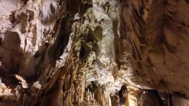 Avrupa 'nın en büyük mağaralarından biri olan Postojna Mağarası, Slovenya' daki inanılmaz kaya oluşumları