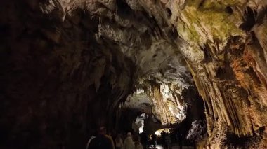 Slovenya 'nın orta kesiminde, Dünya Mirası Bölgesi olan Postojna Mağaraları, Avrupa