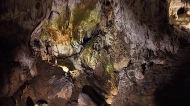 Slovenya 'nın orta kesiminde, Dünya Mirası Bölgesi olan Postojna Mağaraları, Avrupa