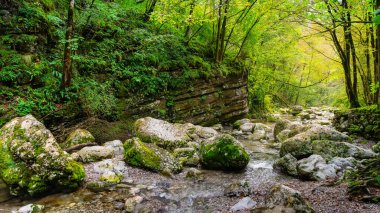 Slovenya 'nın Kozjak kentindeki büyük kayalar arasında akan nehir ile rüya gibi yeşil bir orman manzarası.