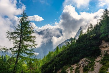 Slovenya 'nın Golicica Dağları' ndaki bulutların arasından yükselen güneşli dağ manzarası
