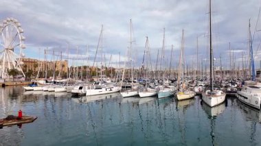 Sakin bir yaz günü, İspanya 'nın Barselona limanına yelkenli tekneleri yanaştı.