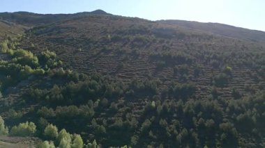 Baharda yeşil dağlar arasında yükselen güneş, Somosierra, Madrid