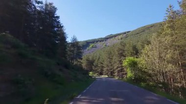 Orta İspanya 'da yeşil ağaçlar ve güneş arasında yükselen dağ yolu.