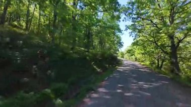 Orta İspanya 'da yeşil ağaçlar ve güneş arasında yükselen dağ yolu.