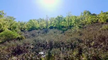 Ufukta güneş yükselen dağ yolu ve bahardaki çiçek patlaması, İspanya