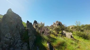 Orta İspanya dağlarında baharın ortasında çiçeklerle çevrili keskin kayalar.