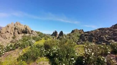 Orta İspanya dağlarında baharın ortasında çiçeklerle çevrili keskin kayalar.