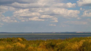 Sahilden deniz manzaralı, sarı otlu.