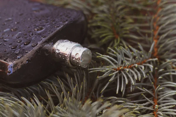 A bottle of perfume for men in black on the prickly green branches of a fir tree.