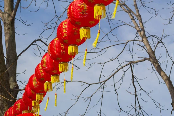 Red Chinese lanterns on tree branches against the blue sky.