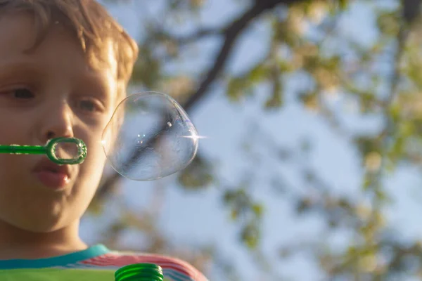 The boy plays in the summer and blows soap bubbles with his mouth in the garden.