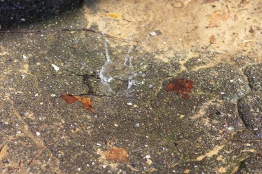 Çatıdan bahar damlıyor, eriyen kardan gelen su asfalta dökülüyor..