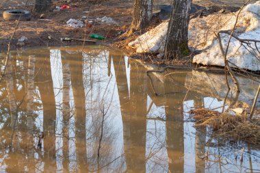 Çamur ve su birikintileriyle dolu ormandaki baharda karın altından çöpler çıkarıldı..