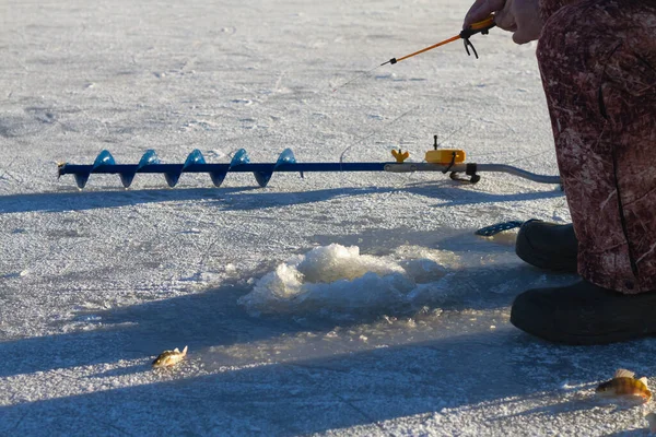 一个穿着温暖冬衣的渔夫在河里冰洞里的纺锤上钓到了鱼 — 图库照片
