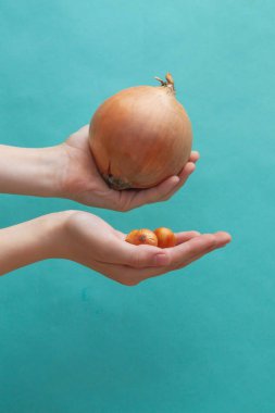 Bir insanın elindeki çok küçük ve büyük bir soğan, seçim konsepti, fark..