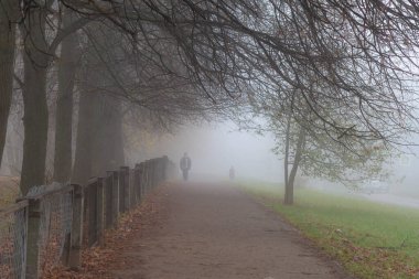 Parktaki sisli sonbahar yolu, düşen sarı ve turuncu yapraklar..