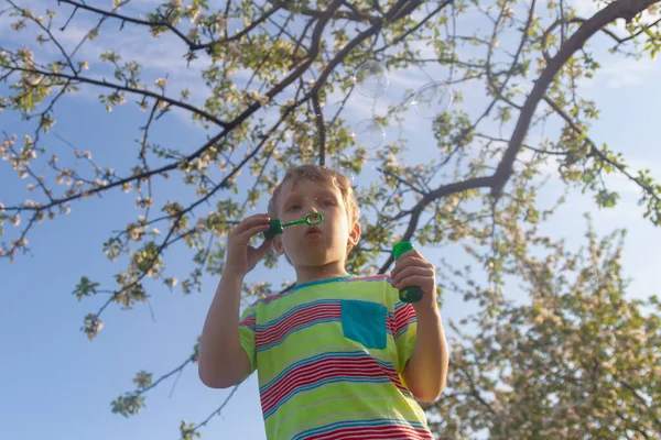 Der Junge Spielt Sommer Und Pustet Garten Seifenblasen Mit Dem — Stockfoto