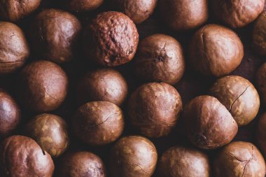 Lezzetli kahverengi macadamia fındıkları yakından. Boşluğu kopyala.