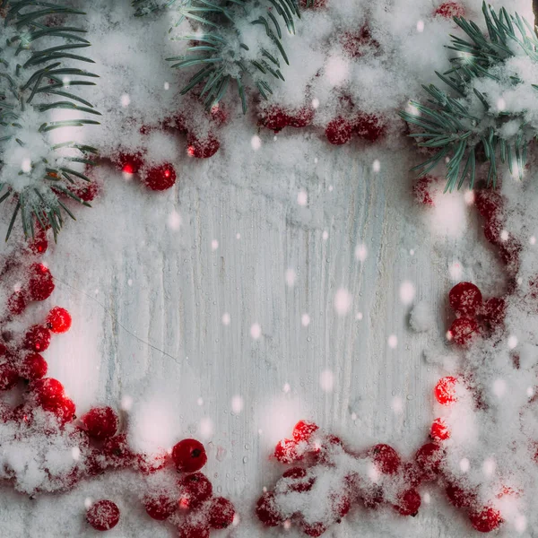 Χριστουγεννιάτικο Φόντο Κλαδιά Χριστουγεννιάτικου Δέντρου Και Κατεψυγμένα Κόκκινα Μούρα Φραγκοστάφυλου — Φωτογραφία Αρχείου