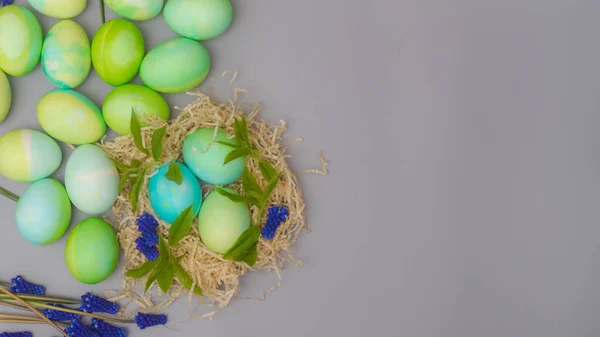 Œufs Pâques Dans Nid Avec Des Fleurs Printemps Bleues Des — Photo