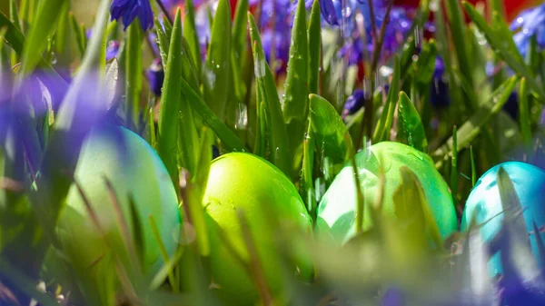 Green Easter eggs in spring among flowers and grass. Spring natural Easter background.