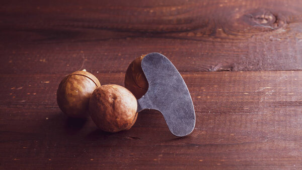 Delicious brown round macadamia nuts and a nut opener key on the brown table.