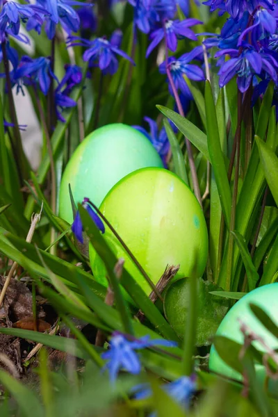 Zielone Pisanki Wiosną Wśród Kwiatów Trawy Wiosna Naturalne Tło Wielkanoc — Zdjęcie stockowe