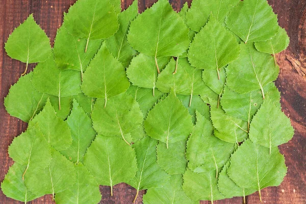 Sfondo Foglie Betulla Verde Primaverile Uno Sfondo Legno Marrone Copia — Foto Stock