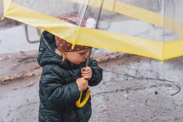 A little girl in a blue jacket under an umbrella walks on a wet sidewalk on a rainy day in spring or autumn.