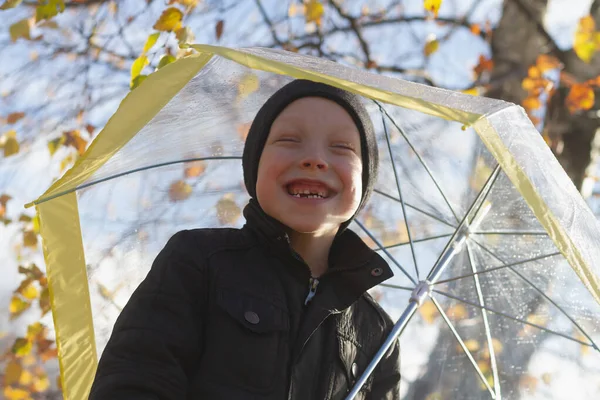 Vit Pojke Gammal Promenader Regnet Våren Eller Hösten Ett Transparent — Stockfoto