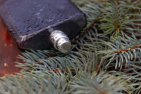 Coniferous Fragrance Men Form Bottle Spray Prickly Spruce Branches — Stock Photo, Image