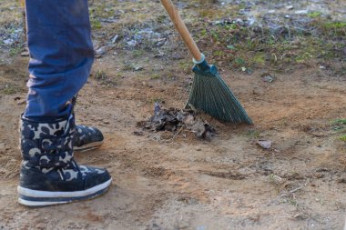 A man sweeps last year's dry leaves on the ground with a broom.