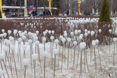 Rusya, Moskova 'daki VDNH' de çiçek tarhı dekorasyonu için beyaz LED boncuklar..